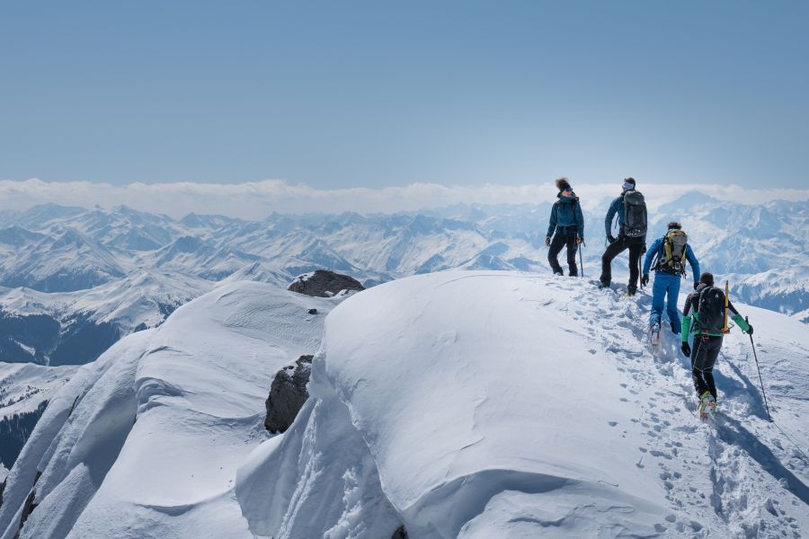 Kallbrunnalm in Weißbach mit Blick Richtung Birnhorn.